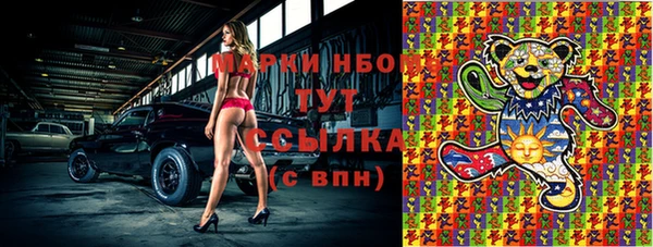 ГАЛЛЮЦИНОГЕННЫЕ ГРИБЫ Аркадак