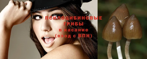 прущие грибы Армянск