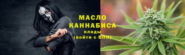 прущие грибы Армянск