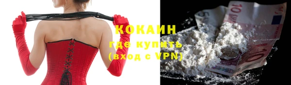 прущие грибы Армянск