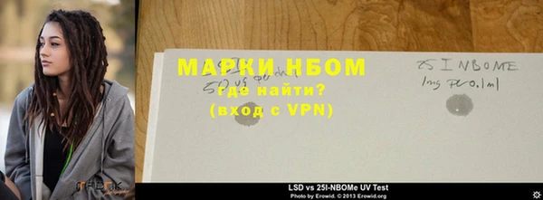 прущие грибы Армянск