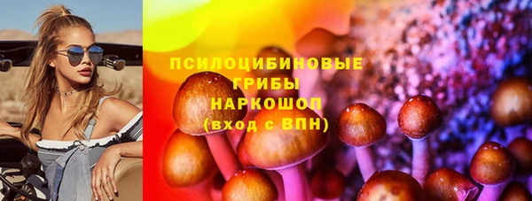 прущие грибы Армянск